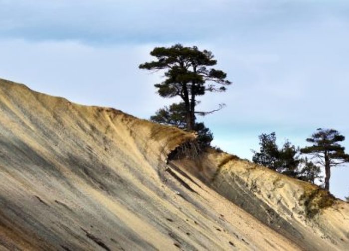 10 Main Causes Of Soil Erosion